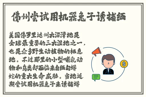 罗志祥5G天天奭多人